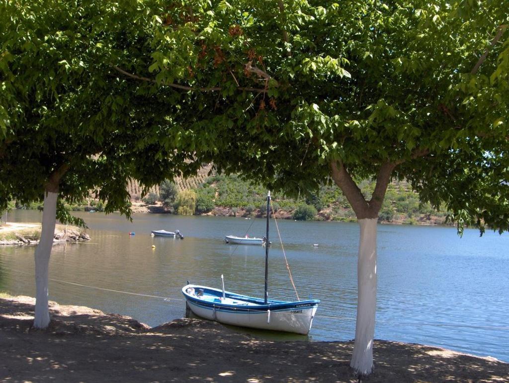 Moradias Do Douro Internacional Villa Freixo de Espada a Cinta Ngoại thất bức ảnh