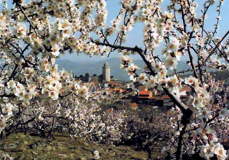 Moradias Do Douro Internacional Villa Freixo de Espada a Cinta Ngoại thất bức ảnh