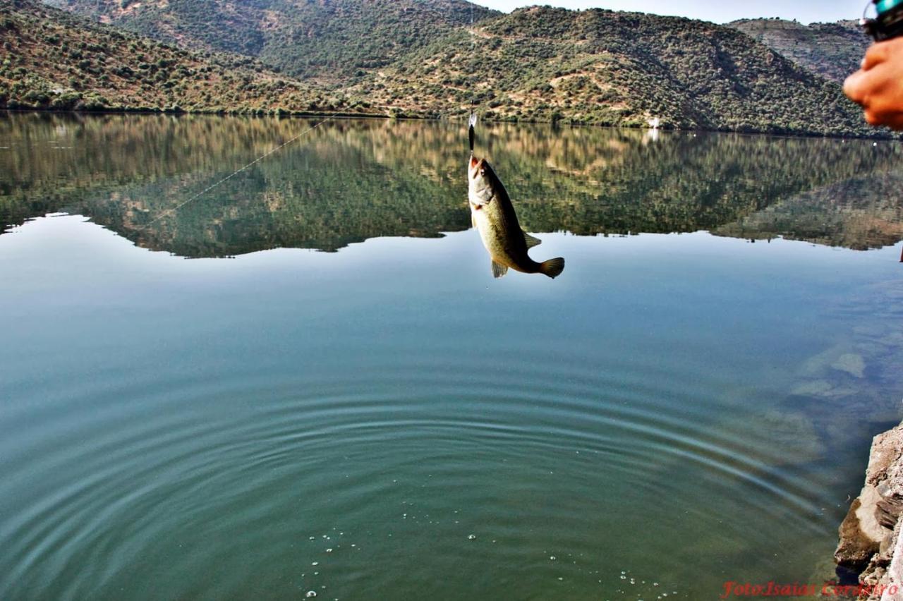 Moradias Do Douro Internacional Villa Freixo de Espada a Cinta Ngoại thất bức ảnh