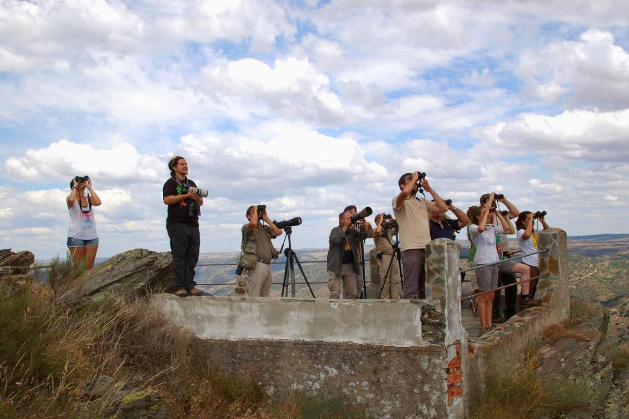 Moradias Do Douro Internacional Villa Freixo de Espada a Cinta Ngoại thất bức ảnh