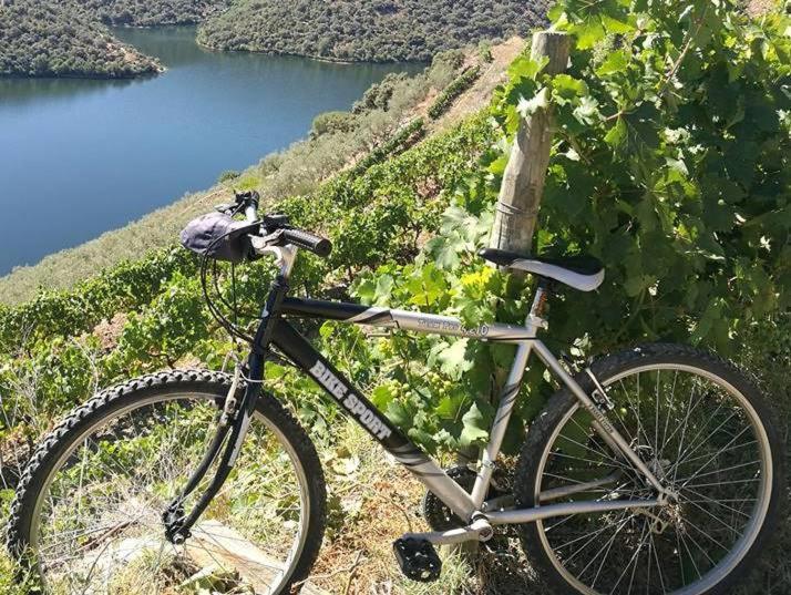 Moradias Do Douro Internacional Villa Freixo de Espada a Cinta Ngoại thất bức ảnh