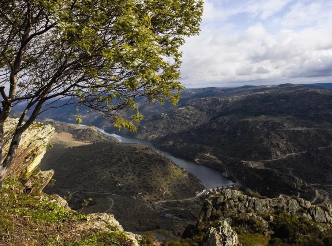 Moradias Do Douro Internacional Villa Freixo de Espada a Cinta Ngoại thất bức ảnh