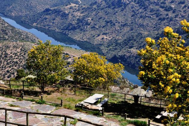 Moradias Do Douro Internacional Villa Freixo de Espada a Cinta Ngoại thất bức ảnh