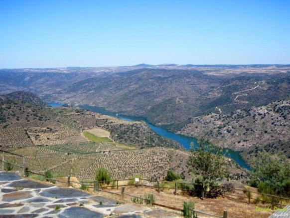 Moradias Do Douro Internacional Villa Freixo de Espada a Cinta Ngoại thất bức ảnh